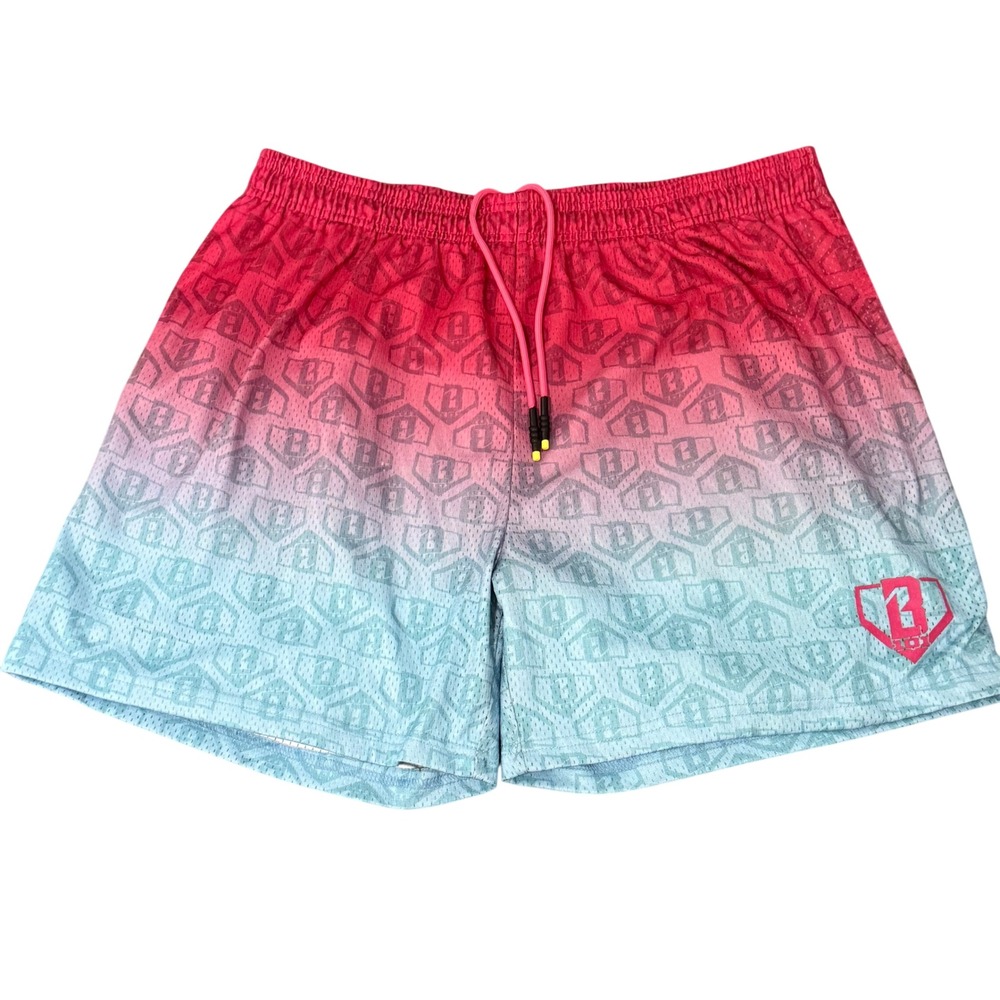 Baseball Lifestyle 101 Mens XL Gradient Logo AOP Shorts Multicolor Pink Blue